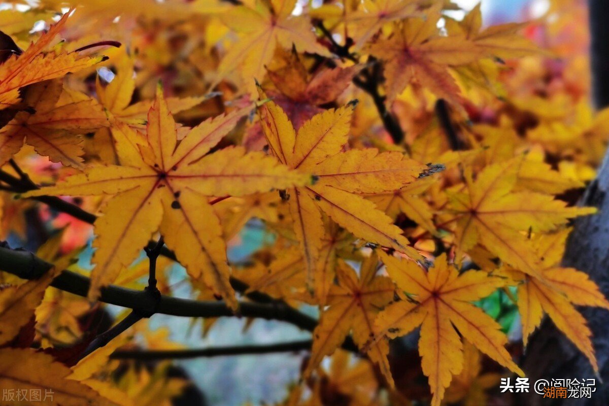 五险一金一般单位扣除缴存比例 五险一金比例单位和个人