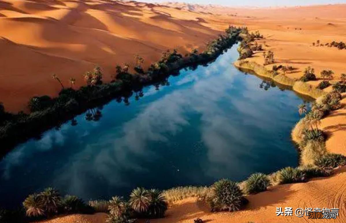 世界上第一大的沙漠在哪个国家 世界上最大的沙漠