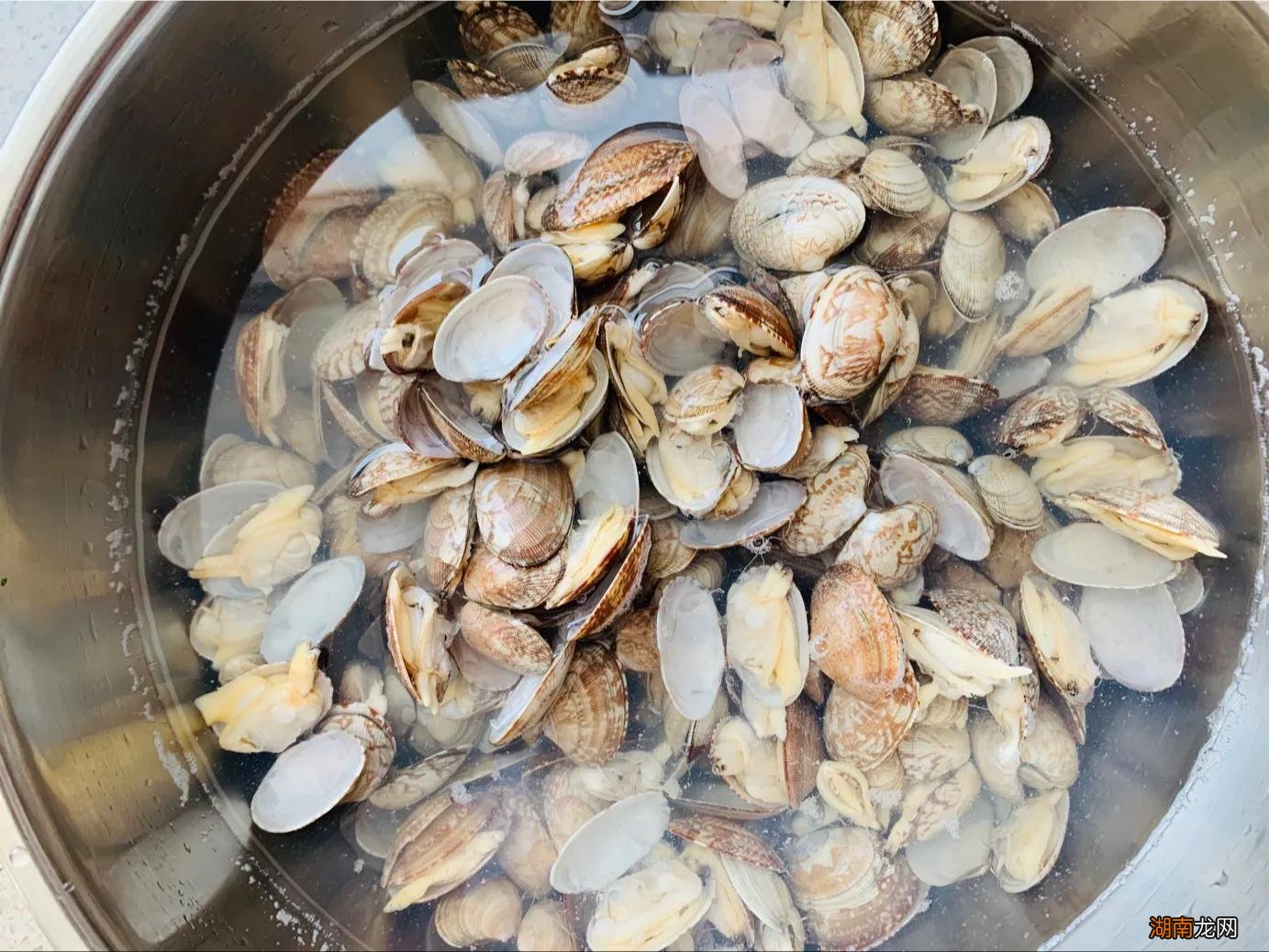 清洗花甲迅速又卫生的小妙招 花甲怎么吐沙干净快速