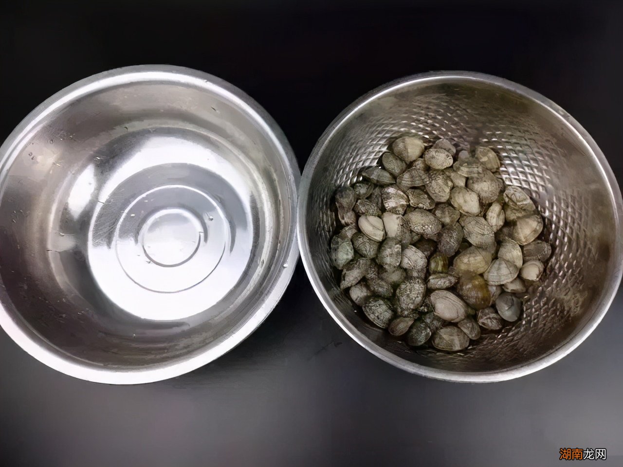 清洗花甲迅速又卫生的小妙招 花甲怎么吐沙干净快速