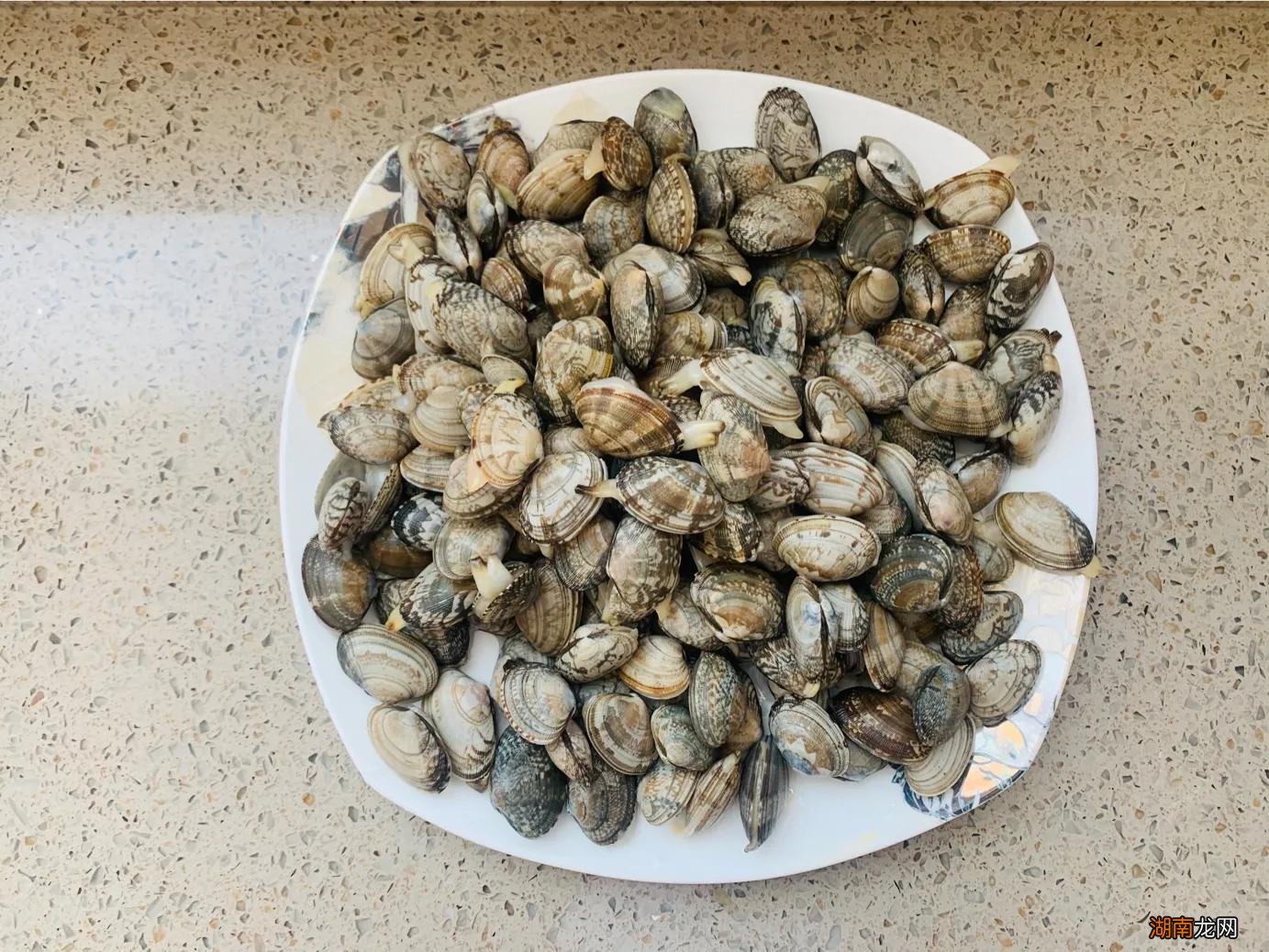 清洗花甲迅速又卫生的小妙招 花甲怎么吐沙干净快速