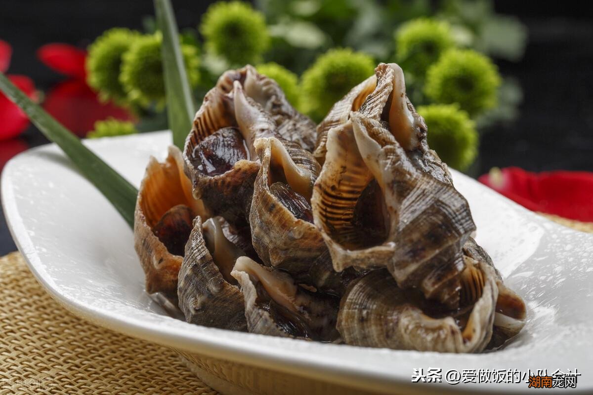 海螺的正确煮法及注意事项 小海螺煮几分钟可以熟窍门