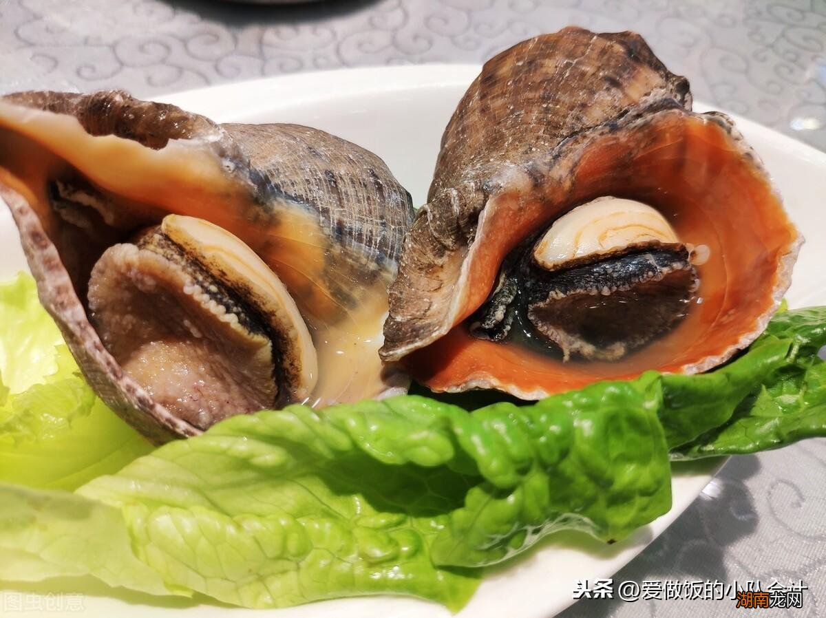 海螺的正确煮法及注意事项 小海螺煮几分钟可以熟窍门