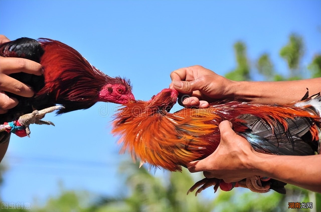 清明节为什么不能去别人家 清明节为什么不能出门