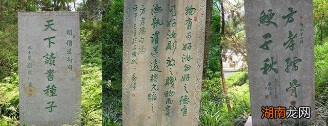 十族的历史真相与因果故事 方孝孺被灭十族真实吗