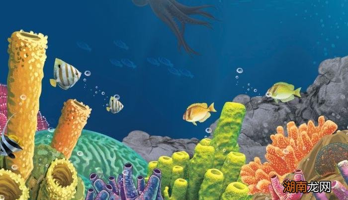 有长生不死的动物存在吗 世界上三大不死的动物是什么