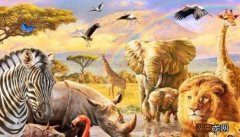 有长生不死的动物存在吗 世界上三大不死的动物是什么