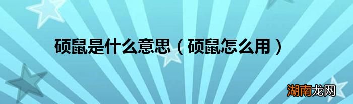 硕鼠怎么用 硕鼠是什么意思