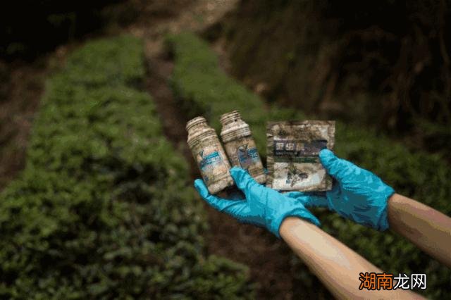 人类的结局终将以哪种方式消失 人类最终会消失吗