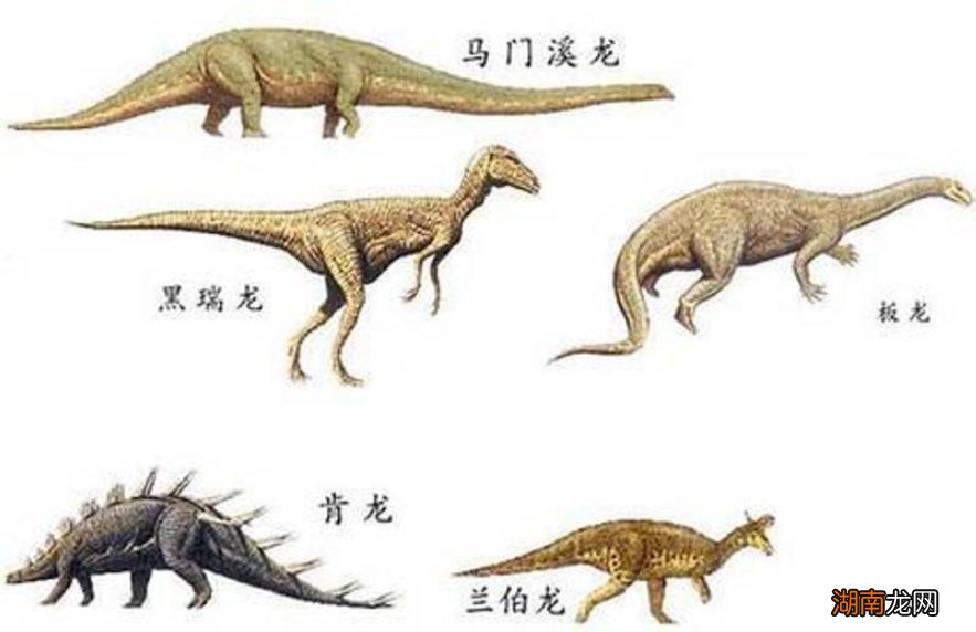 人类的结局终将以哪种方式消失 人类最终会消失吗
