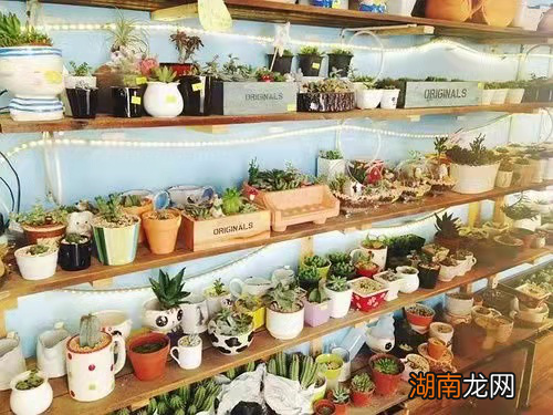 适合女人做的低成本项目 女人做什么小生意成本低利润高