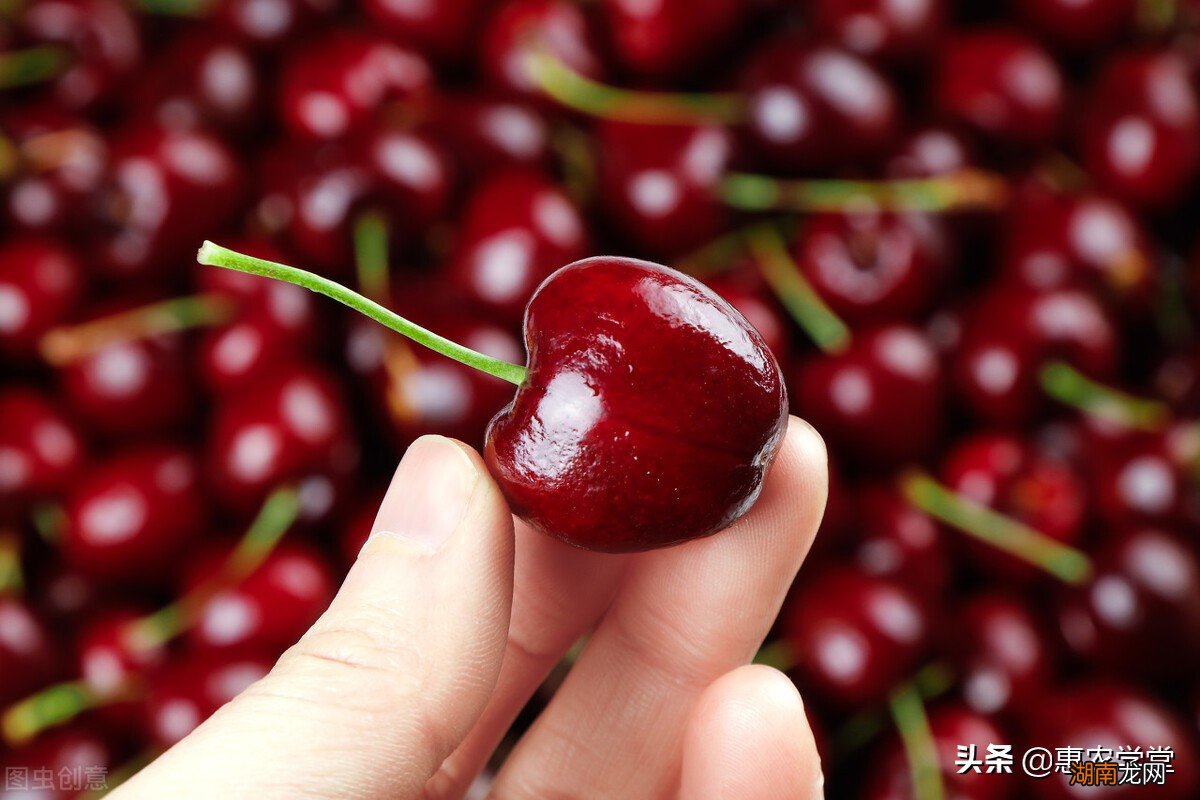 常温下车厘子存放多长时间不腐烂 车厘子能放多久