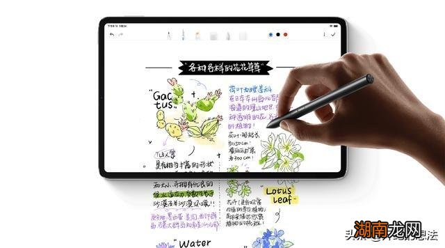 小米5平板值得买吗 小米平板5和5pro哪个性价比高