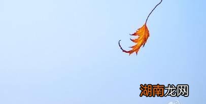 数学表白怎么算出 表白算式521.1314的简单加法