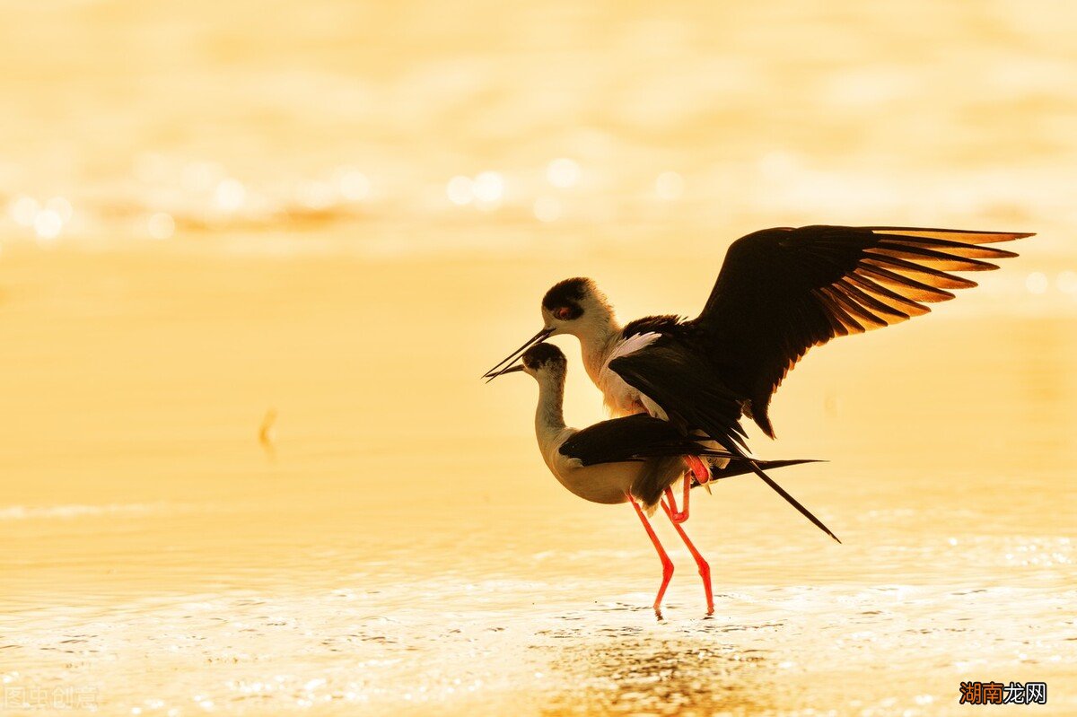 而且他有对象新欢怎么办 女生忘不掉前任怎么办