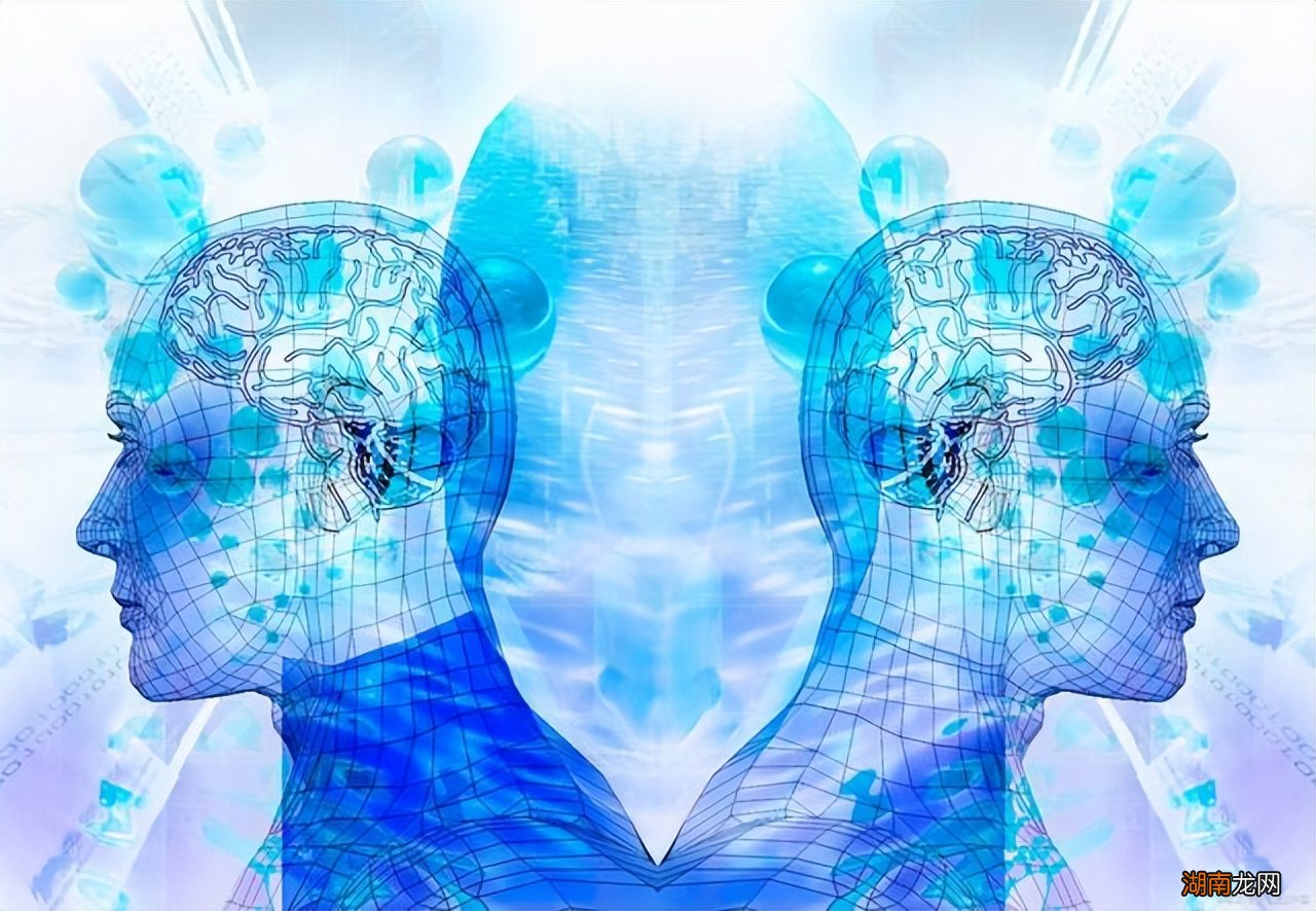 左右脑分别怎样锻炼和开发 左右脑分别控制什么功能