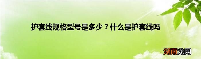护套线规格型号是多少?什么是护套线吗