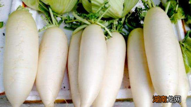 无冰箱也能长期储存的蔬菜排行 十大耐储存蔬菜品种排名