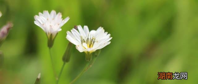 情有独钟女生是什么样的 摩羯男一见钟情的女生类型