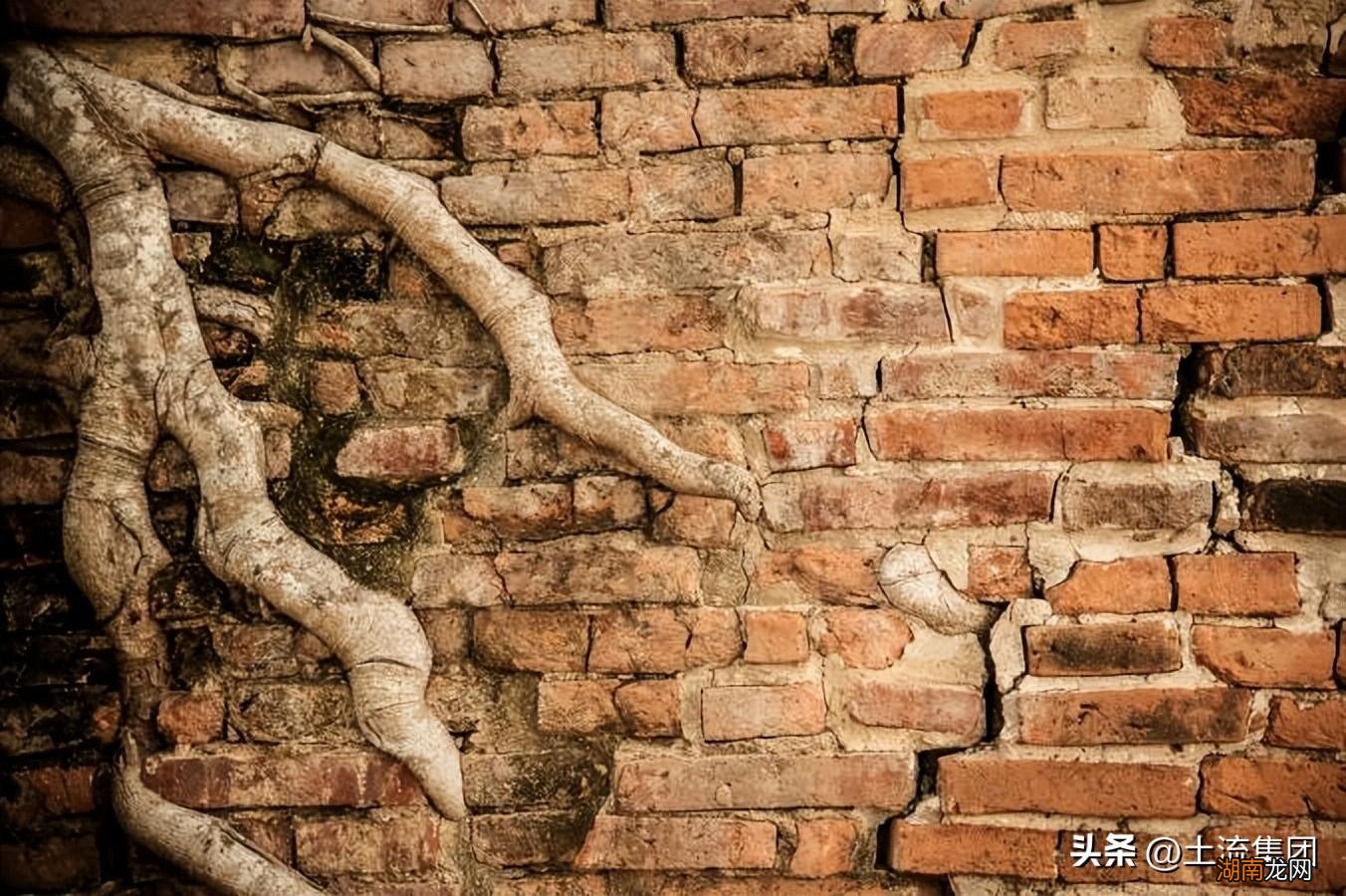 2022全国低保标准是多少 国家低保一个月多少钱