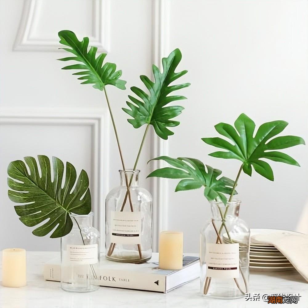 如何将自己的家打造成简约INS风格 ins风是什么风格