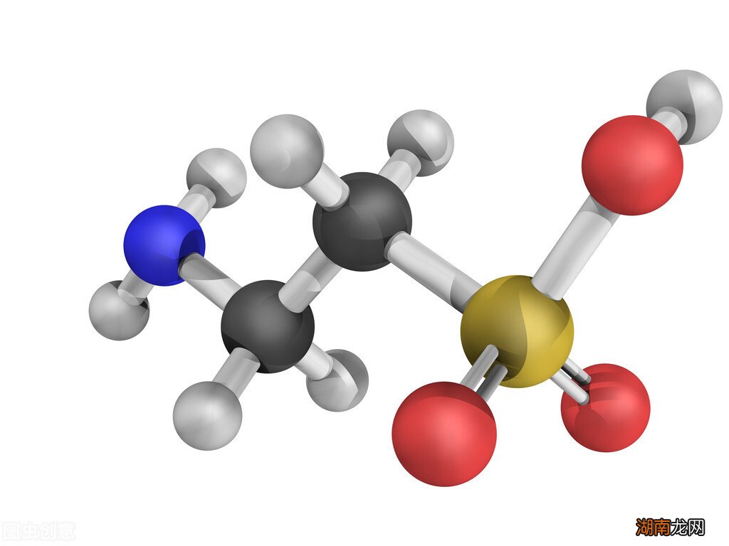 猫头鹰为什么这么喜欢吃老鼠 猫头鹰吃什么食物为主