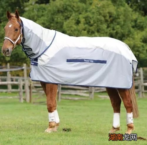 怎样改变懦弱没主见 一个没有主见的人如何改变