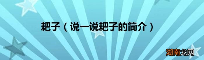 说一说耙子的简介 耙子
