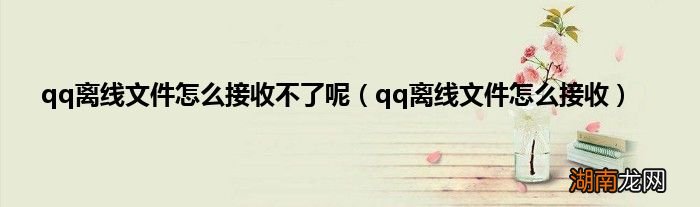 qq离线文件怎么接收 qq离线文件怎么接收不了呢