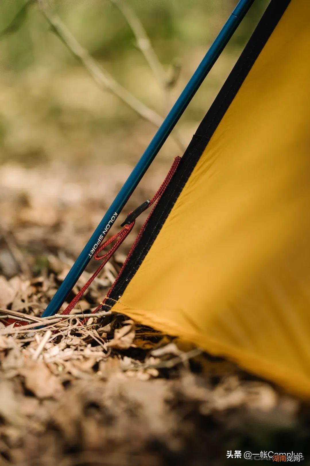 这个品牌有哪些知名户外产品 两棵树的户外品牌叫什么