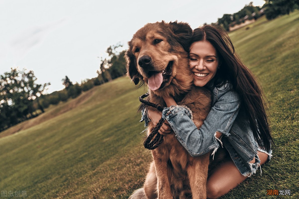 养公犬的七大优势分别是什么 女士养公犬的目的有哪些