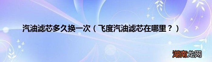 飞度汽油滤芯在哪里？ 汽油滤芯多久换一次