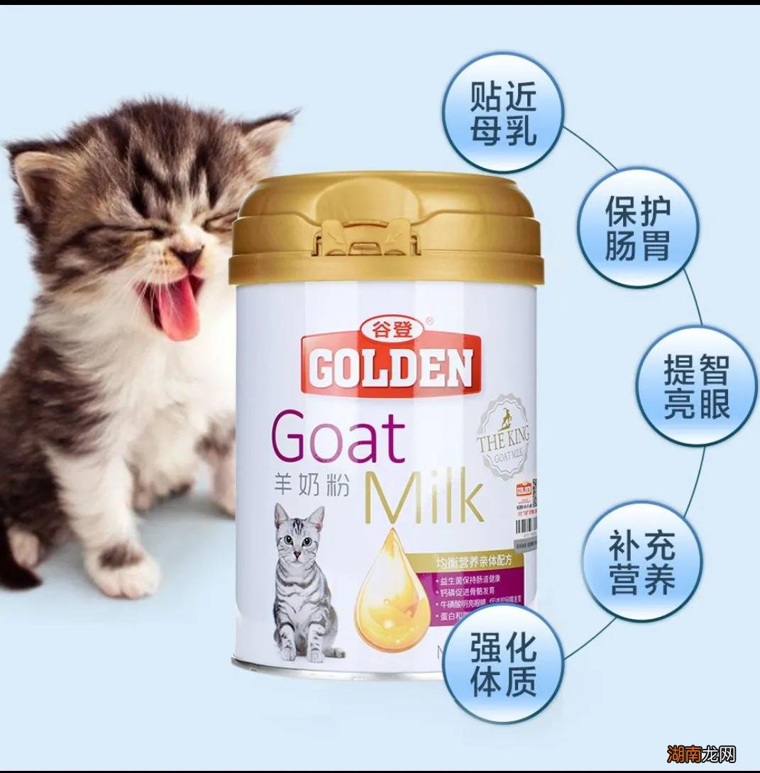 刚出生的小猫睁眼需要多长时间  小猫多长时间睁眼