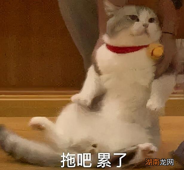 win10的四个经典版本介绍 win10哪个版本好用