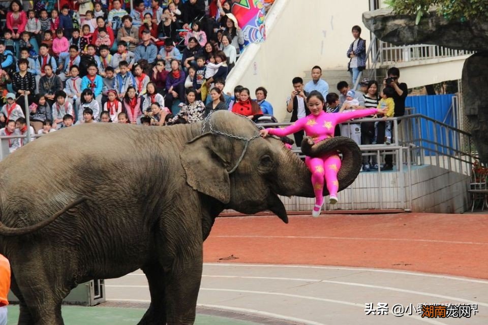上海最经典的8大旅游景区 上海有什么著名的景点
