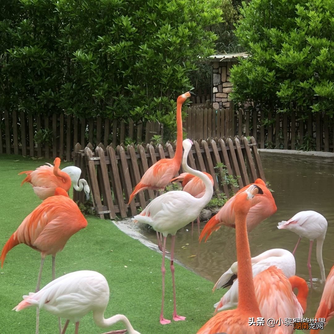 上海最经典的8大旅游景区 上海有什么著名的景点