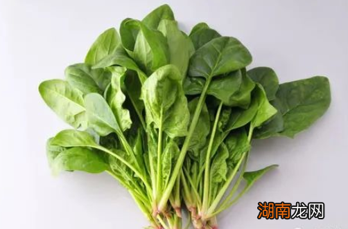 春天吃什么食物可以养生 春季养生必吃十种食物有哪些