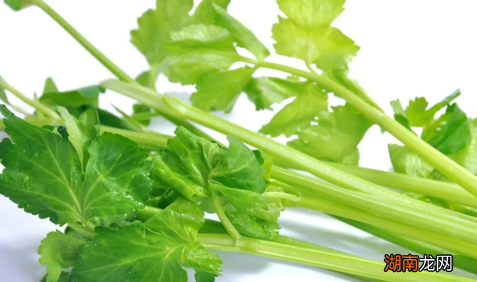 春天吃什么食物可以养生 春季养生必吃十种食物有哪些