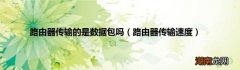 路由器传输速度 路由器传输的是数据包吗