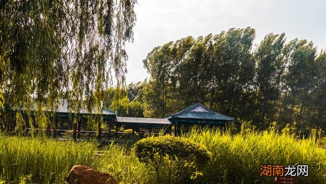 老婆出轨被发现后沉默不语 老婆出轨的十大表现