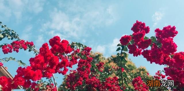 老婆出轨被发现后沉默不语 老婆出轨的十大表现