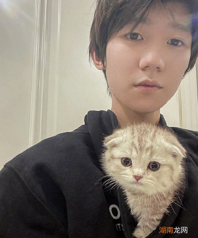 为什么现在人们不愿意养折耳猫 为什么不能养折耳猫