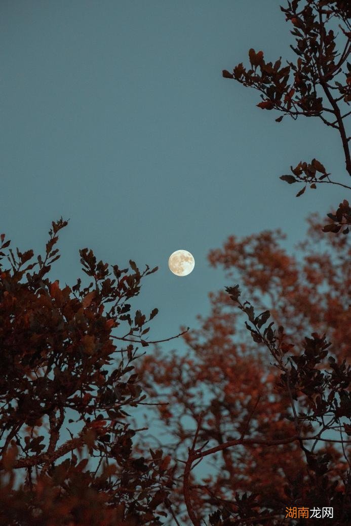 4招手机拍中秋月亮的方法 手机拍月亮专业模式怎么设置