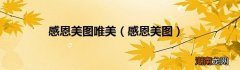 感恩美图 感恩美图唯美