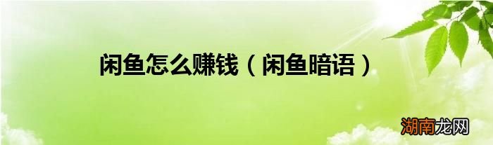 闲鱼暗语 闲鱼怎么赚钱