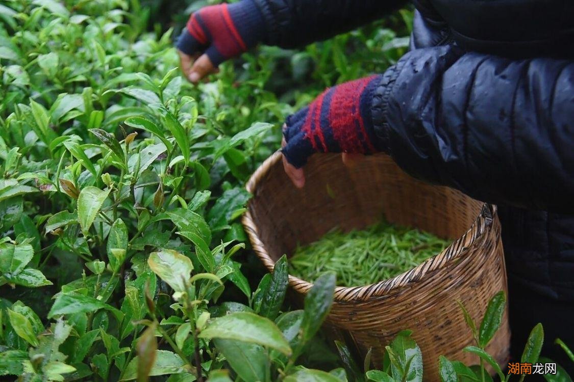 盘点河南有名的8大特产美食 河南有什么好吃的特产