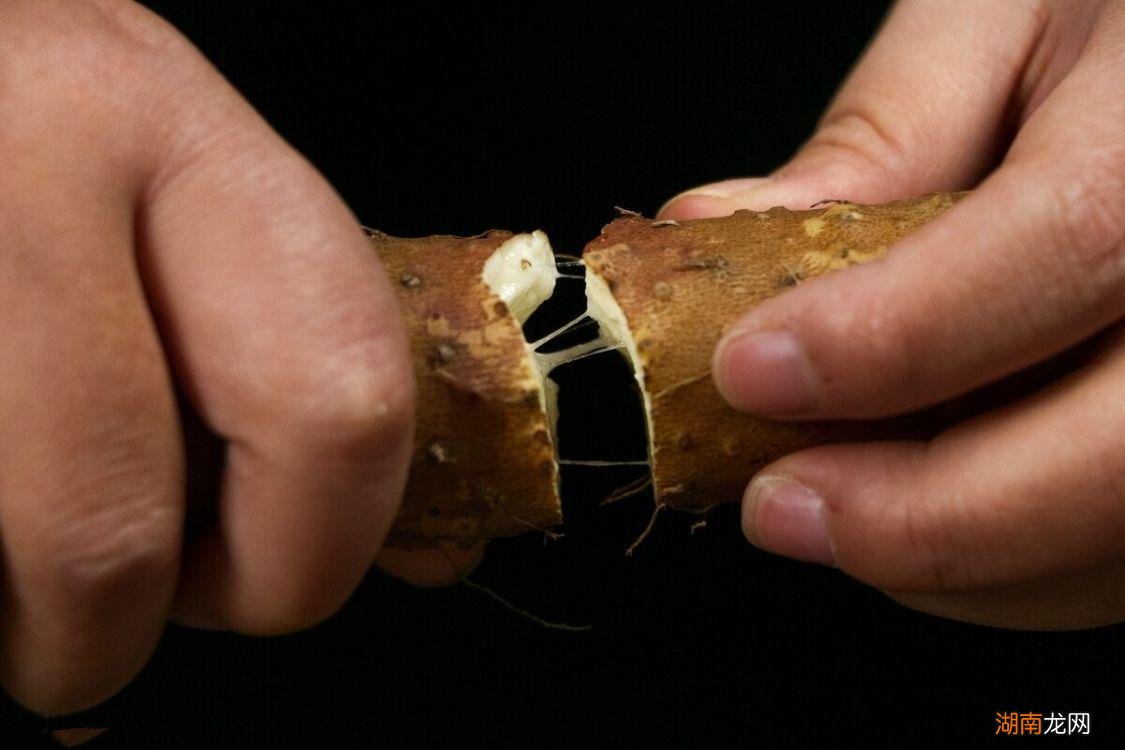 盘点河南有名的8大特产美食 河南有什么好吃的特产