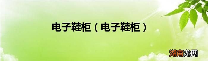 电子鞋柜 电子鞋柜