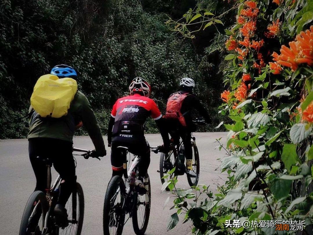 分享常用五个调整技巧 变速器自行车怎么调又快又轻松