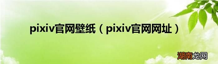 pixiv官网网址 pixiv官网壁纸